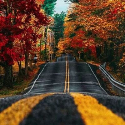 皇冠手机登录地址hg