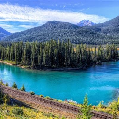 安博app官方网站截图